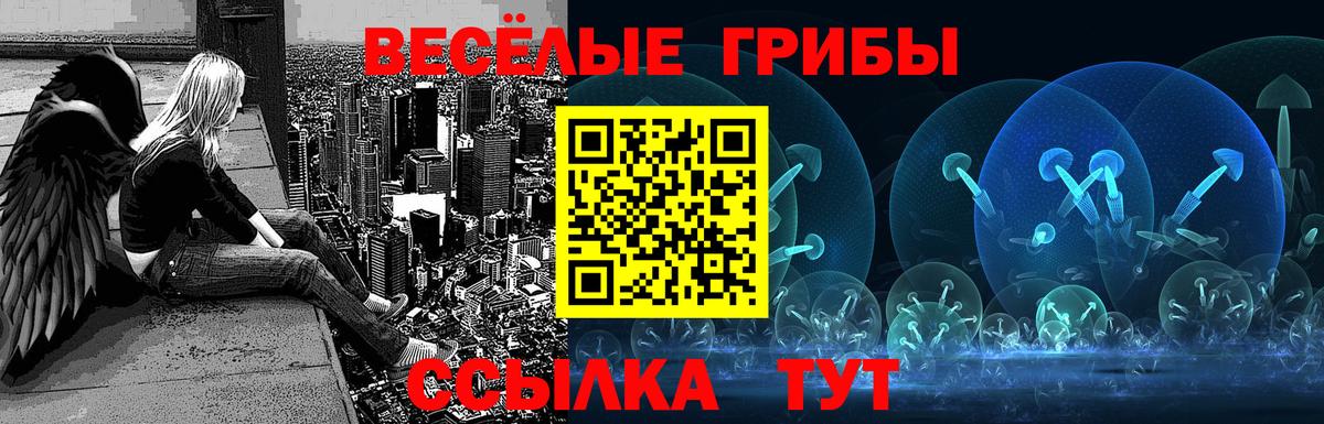 Махачкала  дарнет шоп  Вход с VPN  Галлюциногенные грибы MAGIC MUSHROOMS 