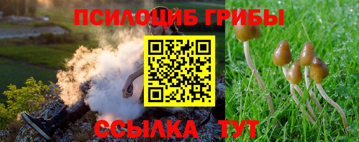 Галлюциногенные грибы GOLDEN TEACHER  Вход с VPN  как найти закладки  Махачкала 