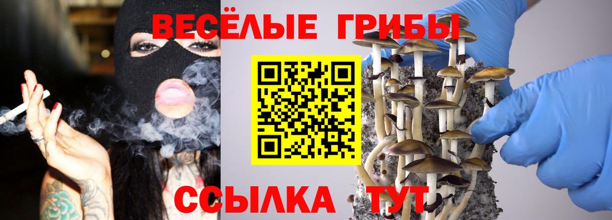 Галлюциногенные грибы Psilocybe  цены   Махачкала 